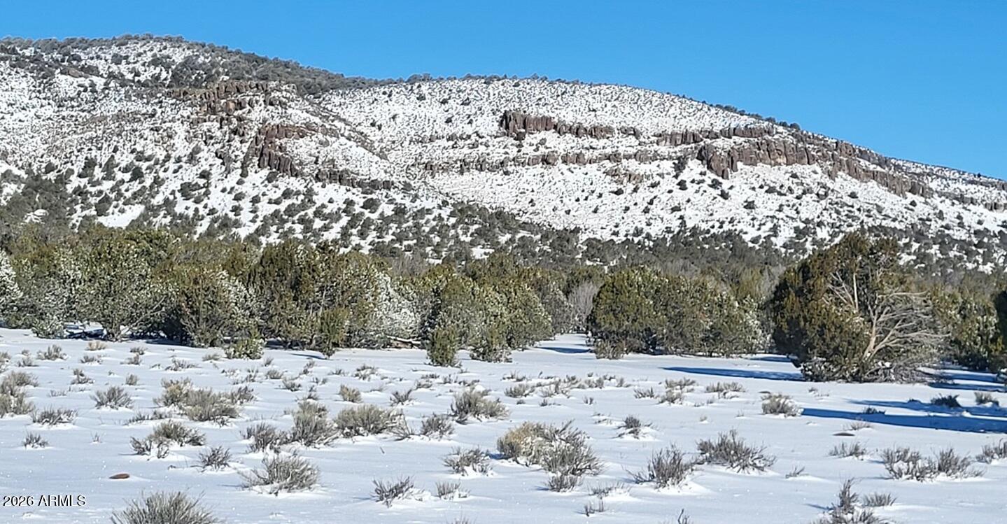 51 Southwest Ranch Road, Unit 51C Williams, AZ 86046 - Photo 7 of 11 a view of a snow in the yard