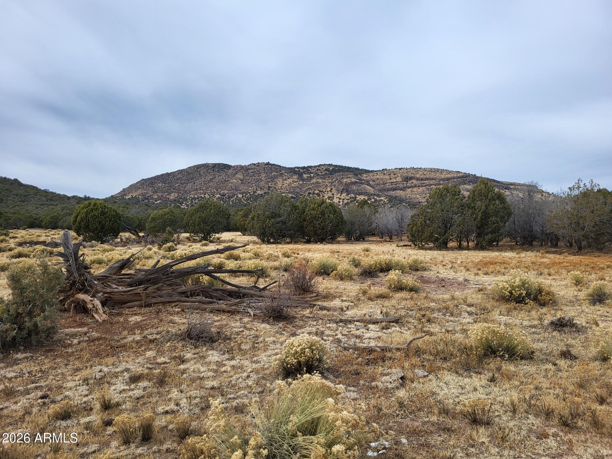 51 Southwest Ranch Road, Unit 51C Williams, AZ 86046 - Photo 9 of 11 a view of a dry yard with green space