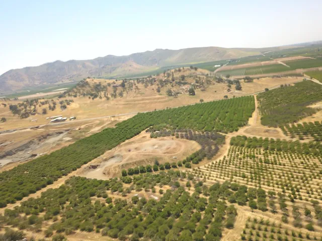 a view of an ocean and a mountain