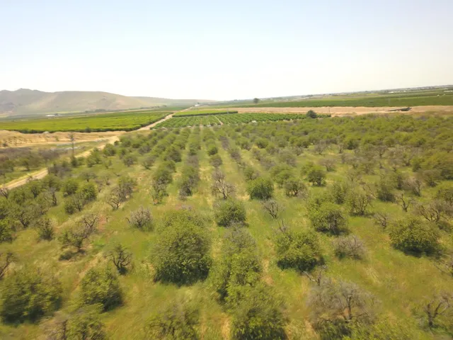 $1,300,000 | 1 Tbd, Orosi, CA 93647