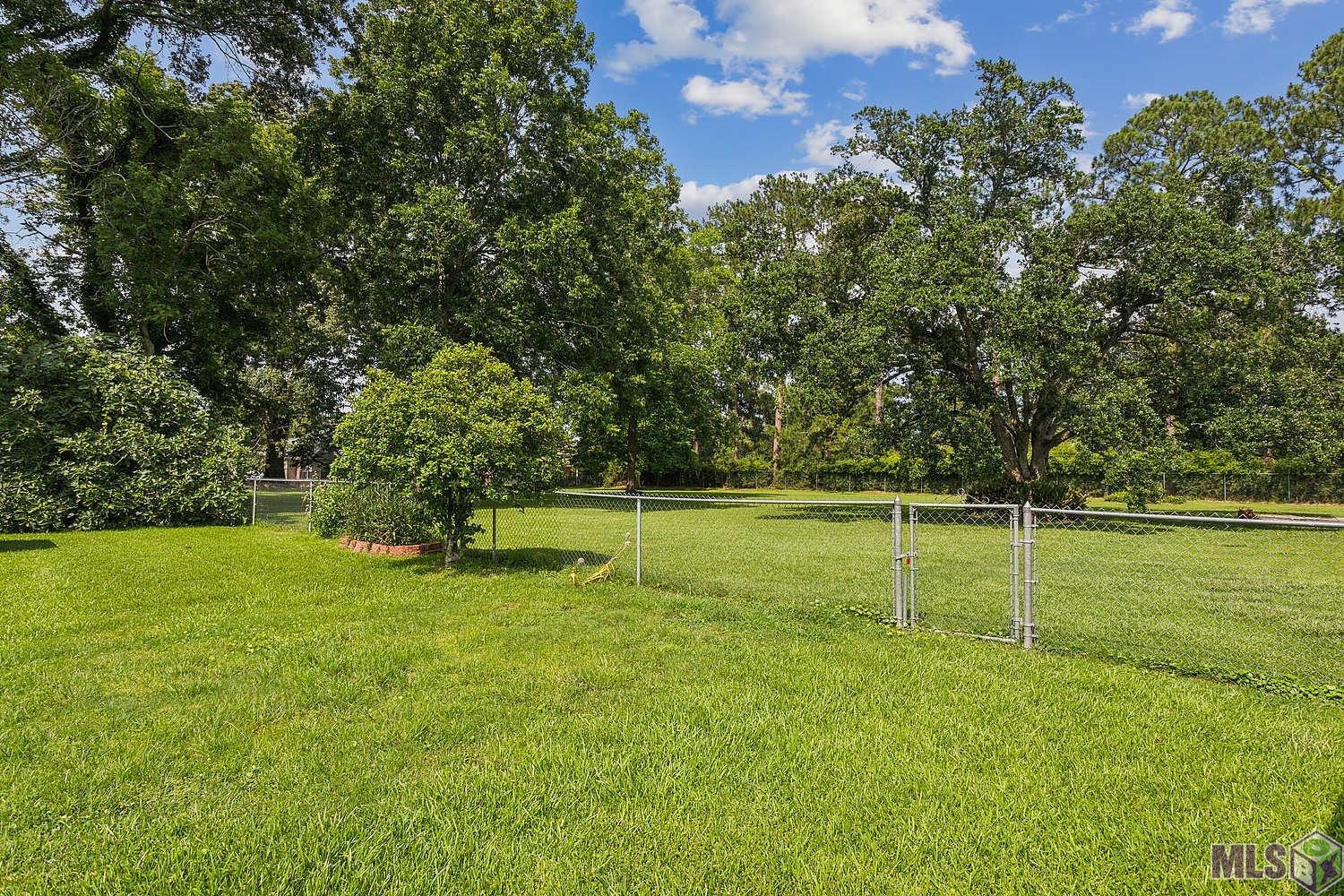 14158 Bluff Road Prairieville, LA 70769 - Photo 4 of 22 Backyard