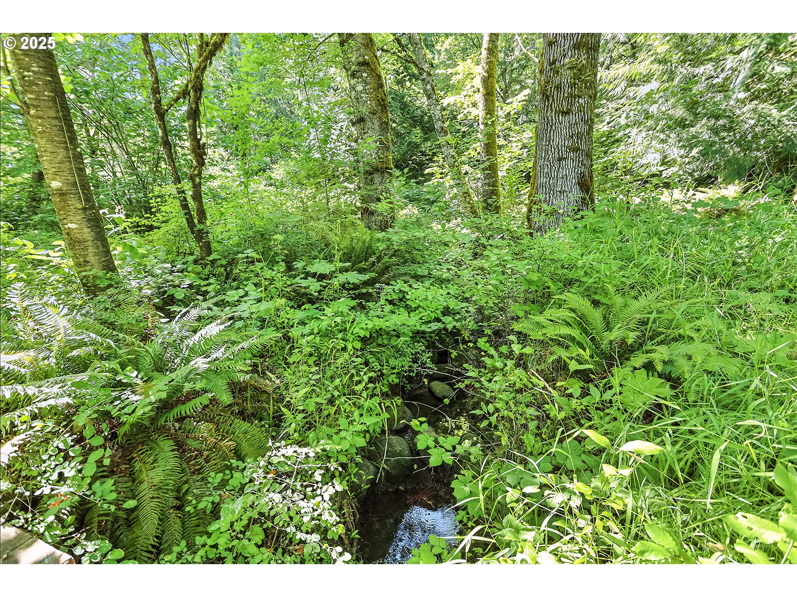 Fern Meadow Road Stevenson, WA 98648 - Photo 11 of 22