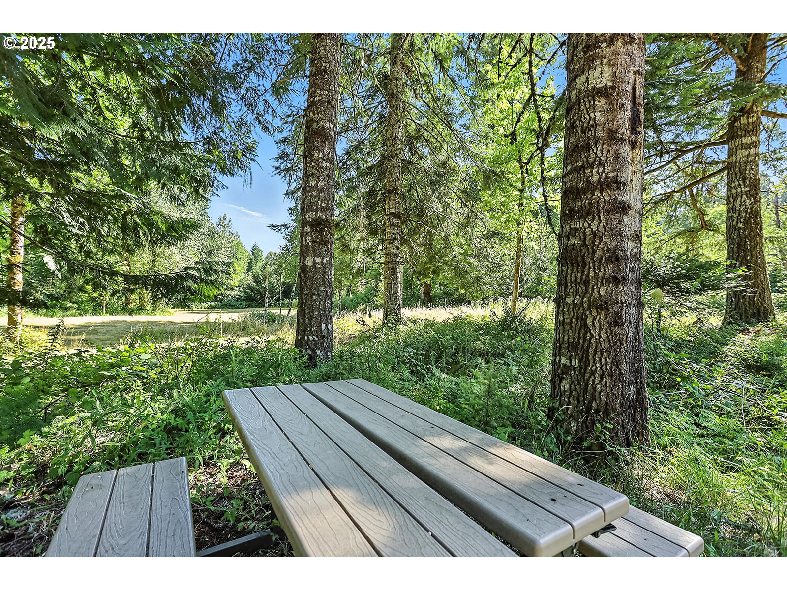 Fern Meadow Road Stevenson, WA 98648 - Photo 13 of 22