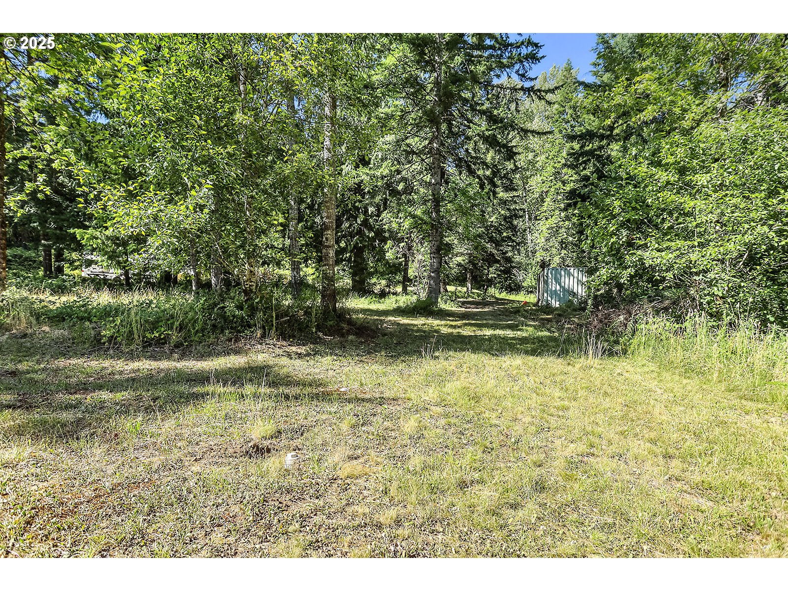 Fern Meadow Road Stevenson, WA 98648 - Photo 15 of 22