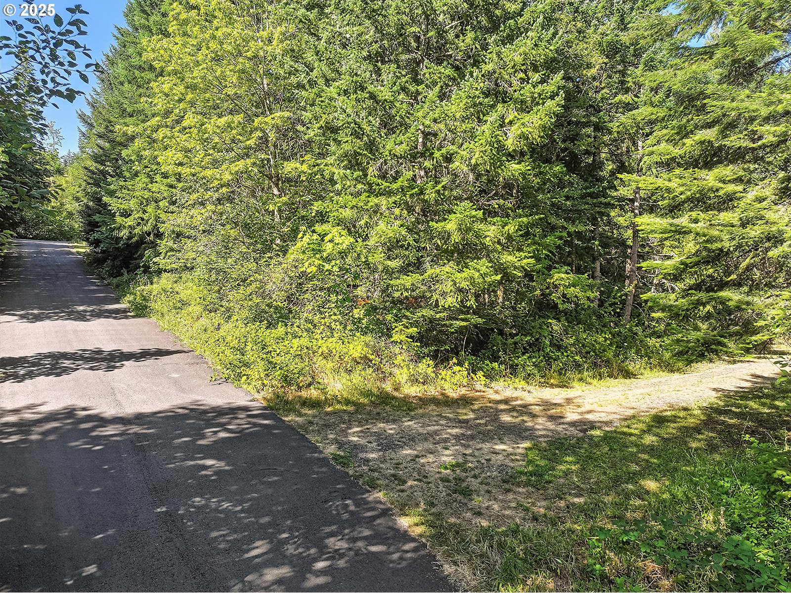 Fern Meadow Road Stevenson, WA 98648 - Photo 16 of 22