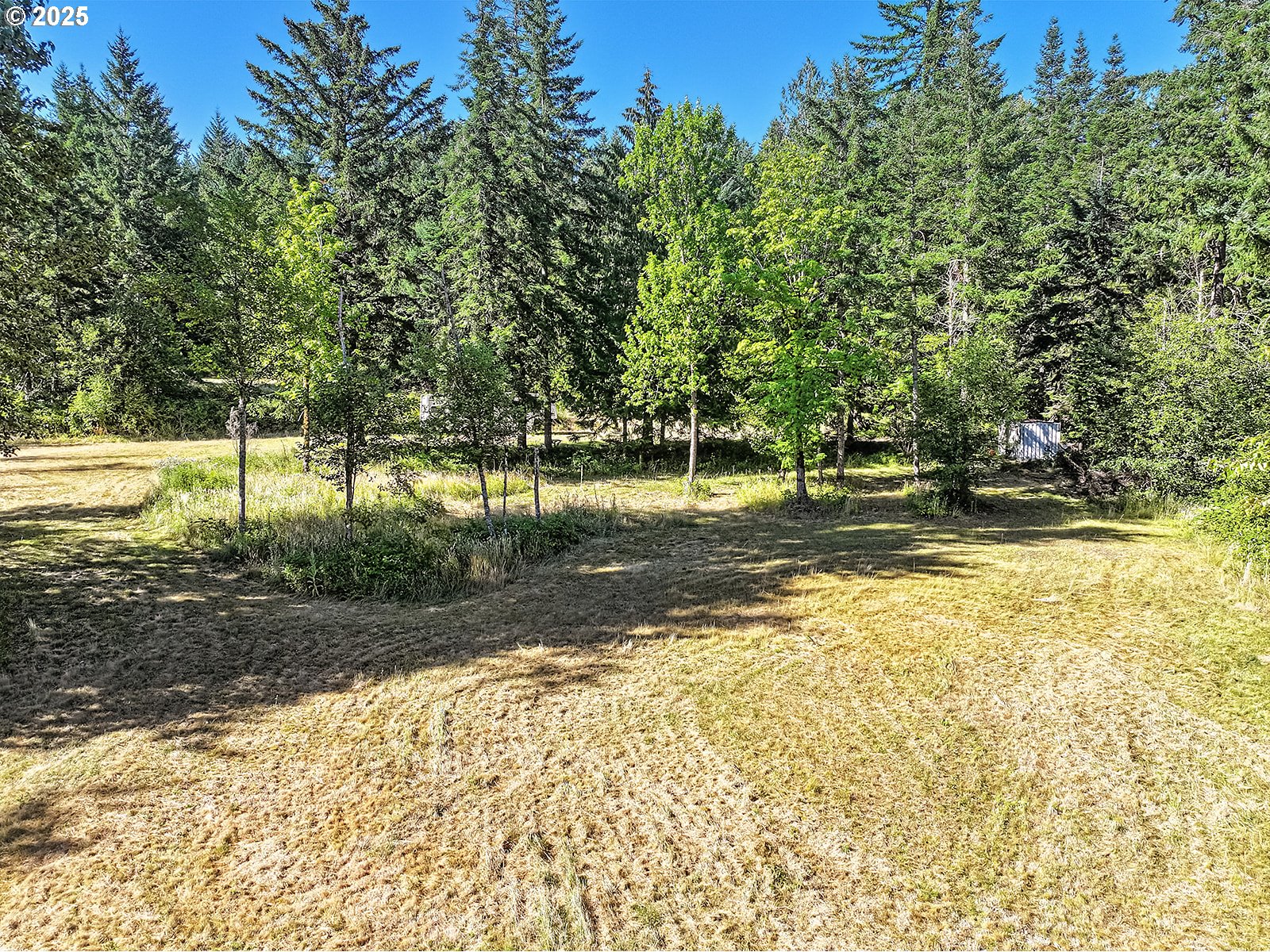 Fern Meadow Road Stevenson, WA 98648 - Photo 17 of 22