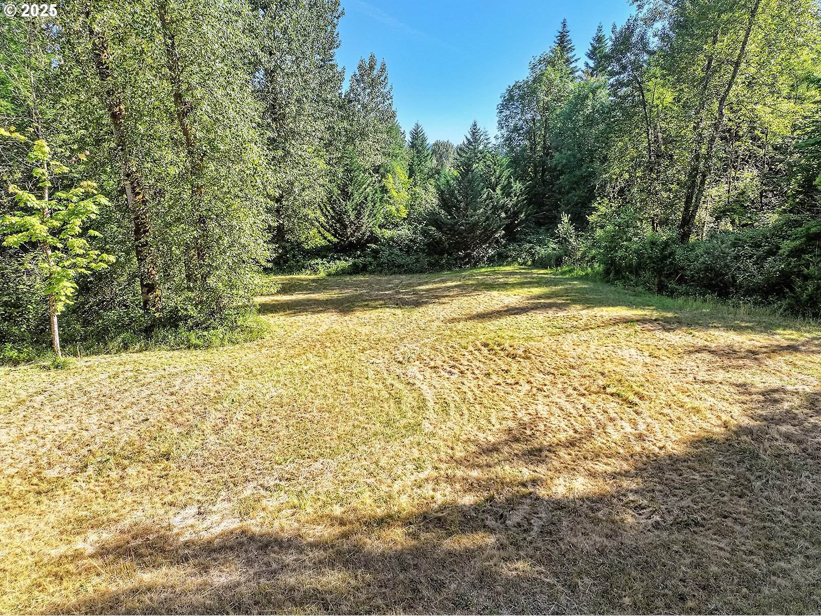Fern Meadow Road Stevenson, WA 98648 - Photo 22 of 22