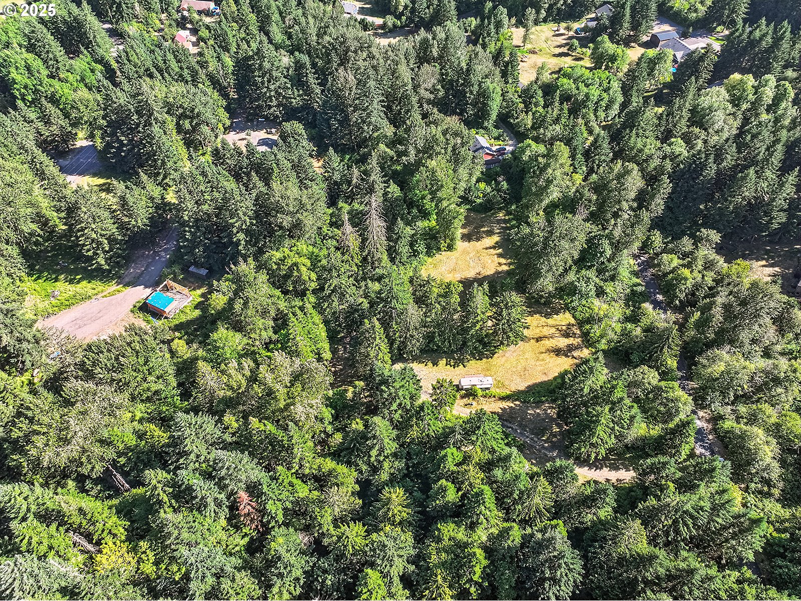 Fern Meadow Road Stevenson, WA 98648 - Photo 4 of 22