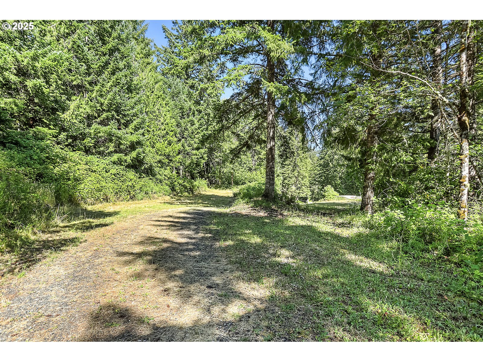 Fern Meadow Road Stevenson, WA 98648 - Photo 6 of 22