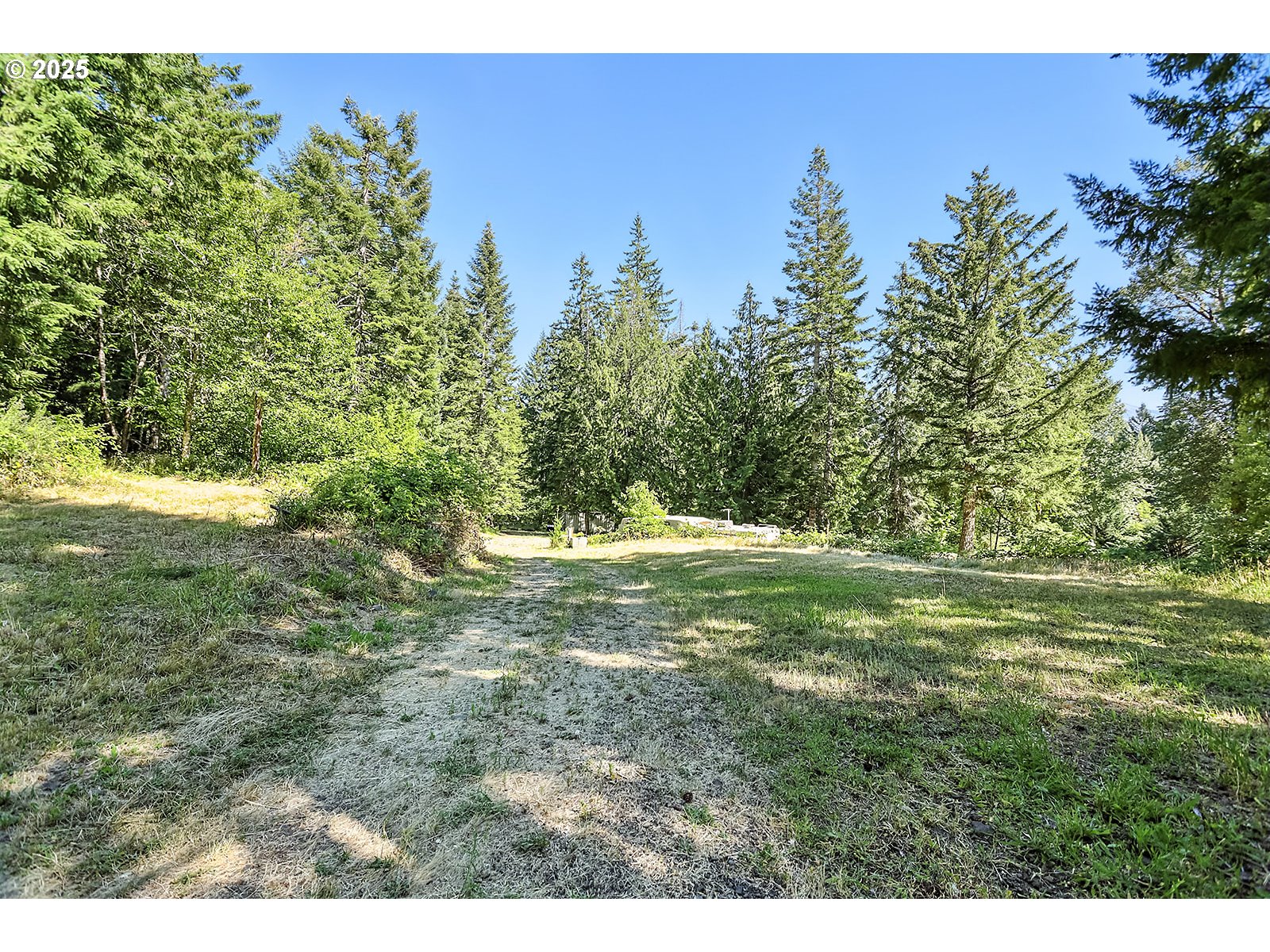 Fern Meadow Road Stevenson, WA 98648 - Photo 7 of 22