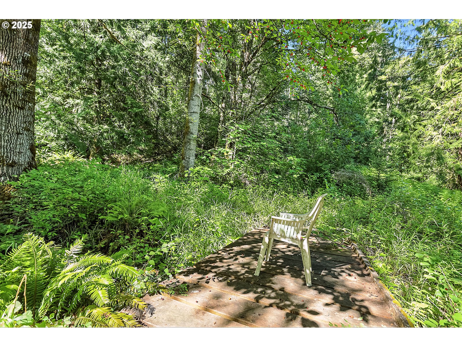 Fern Meadow Road Stevenson, WA 98648 - Photo 9 of 22