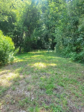 a view of a trees in a yard