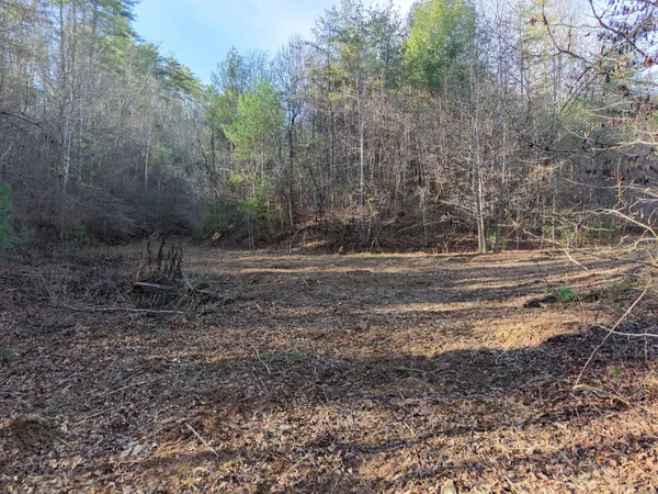 $200,000 | 0 Bakers Creek Road, Old Fort, TN 37362