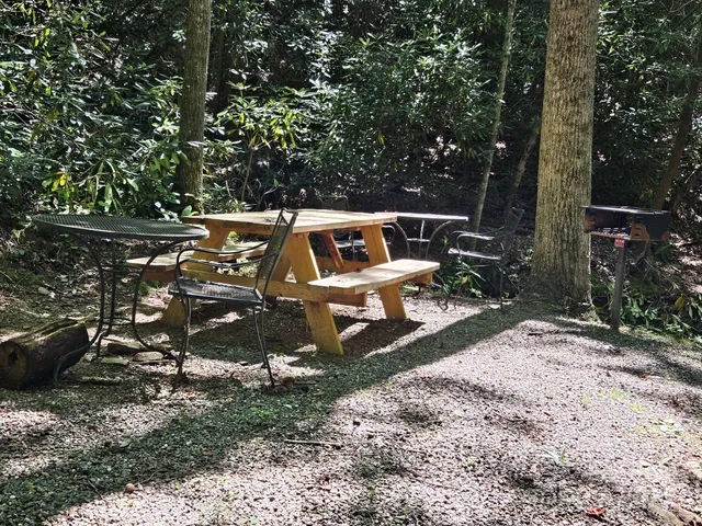 a view of a bench in the backyard