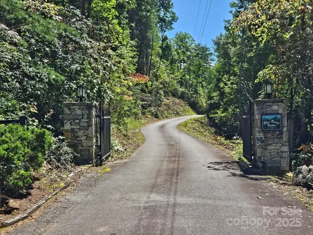 a view of a road with plants and large trees
