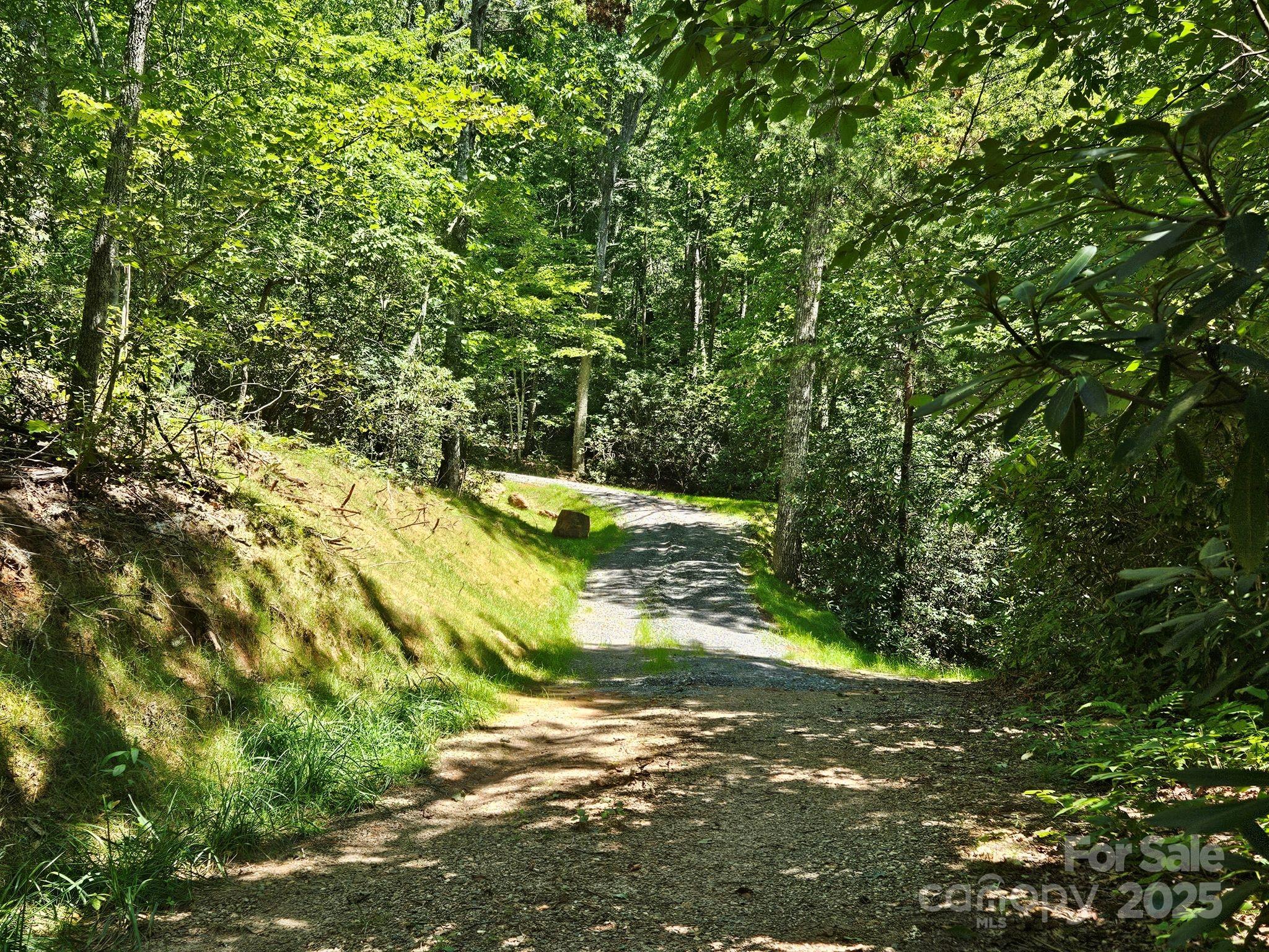 0 Blue Vista Road, Unit 1 Canton, NC 28716 - Photo 3 of 12 a view of a yard