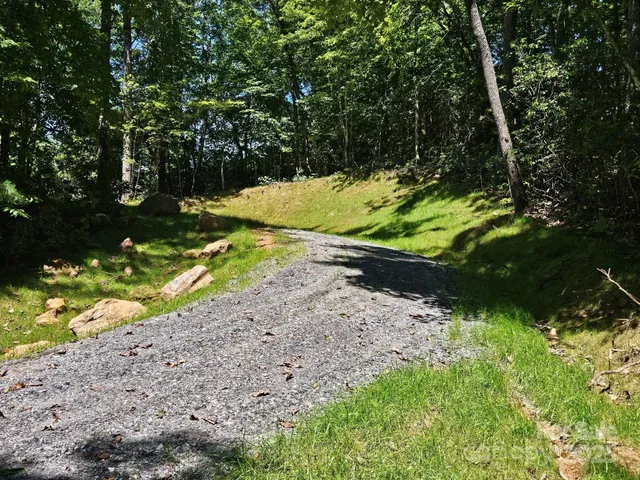 a view of a tree with a yard