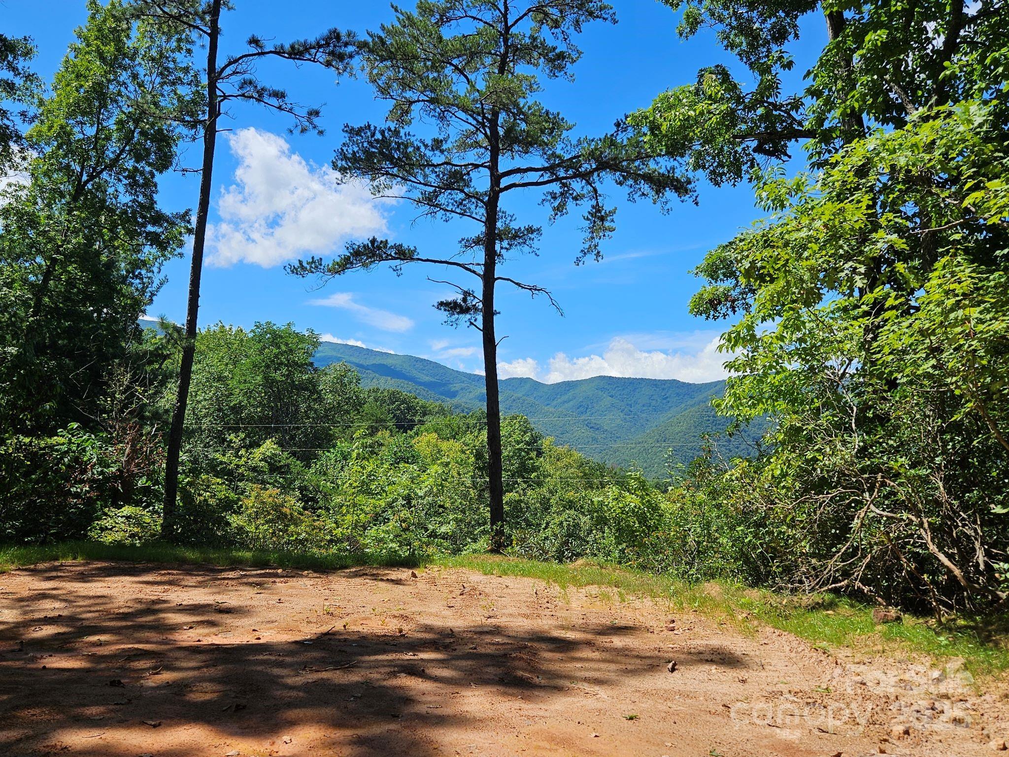 0 Blue Vista Road, Unit 1 Canton, NC 28716 - Photo 5 of 12 a backyard of a house with lots of green space