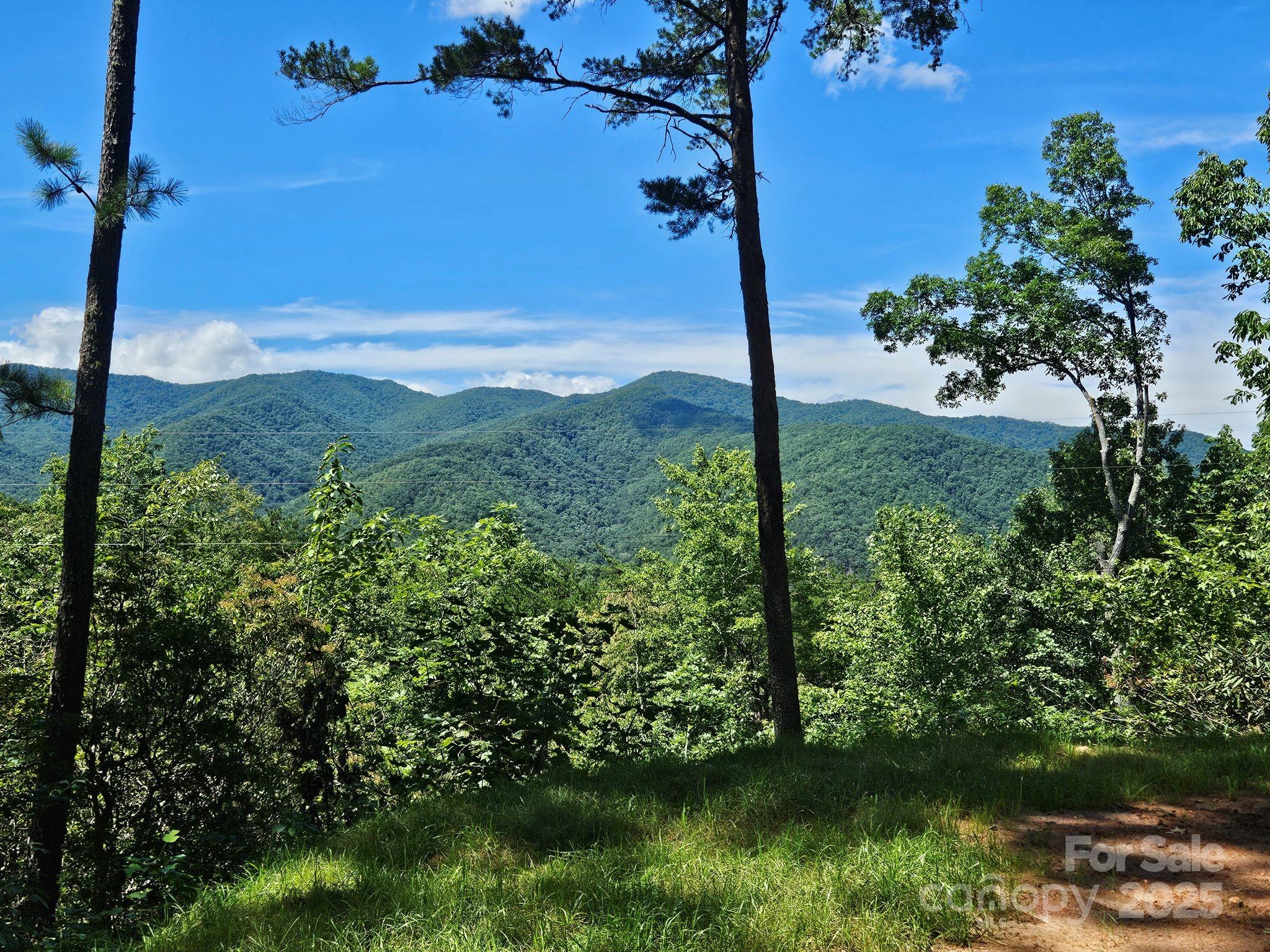 0 Blue Vista Road, Unit 1 Canton, NC 28716 - Photo 6 of 12 a view of a garden with a tree