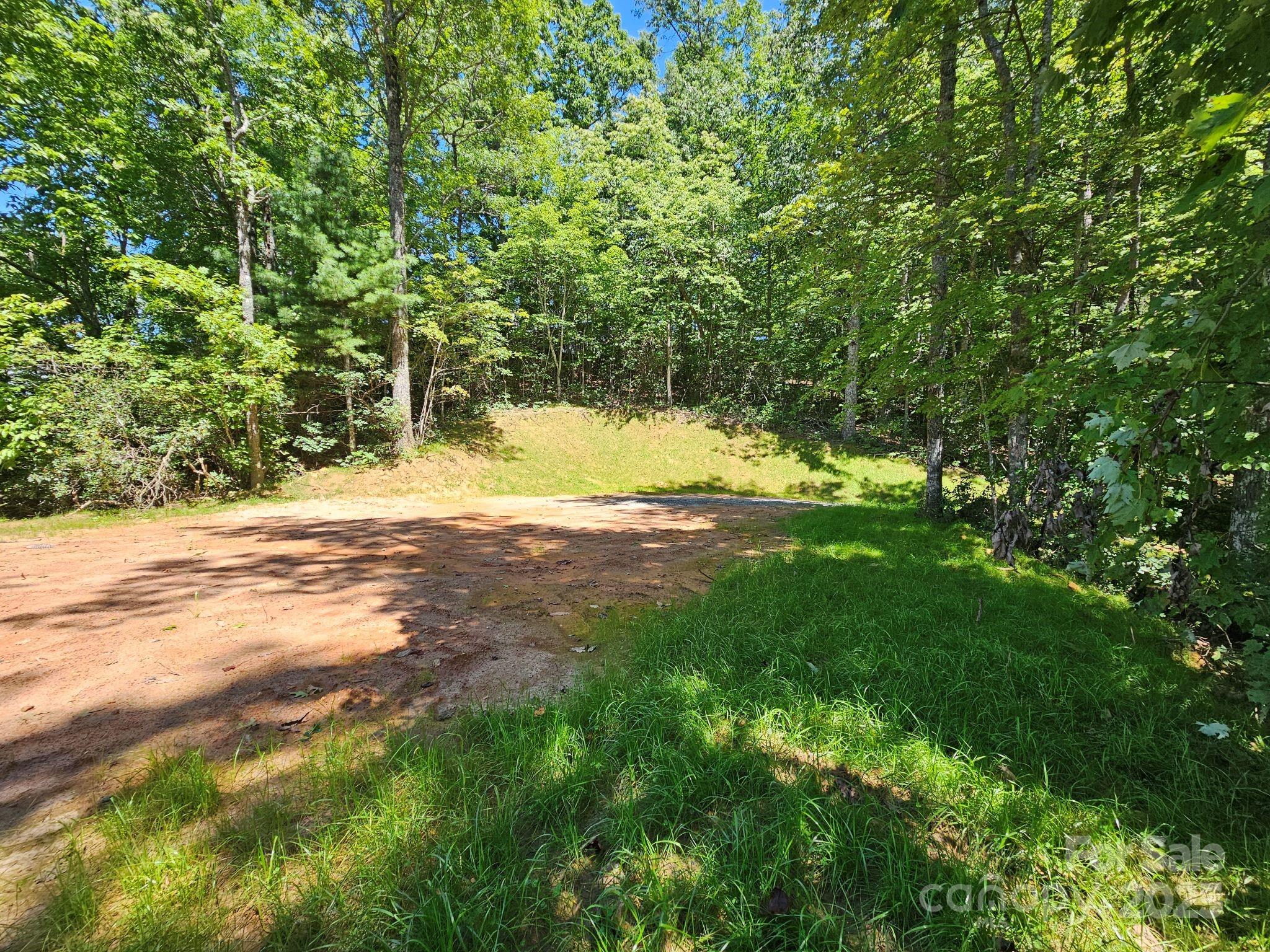0 Blue Vista Road, Unit 1 Canton, NC 28716 - Photo 7 of 12 a view of yard with green space