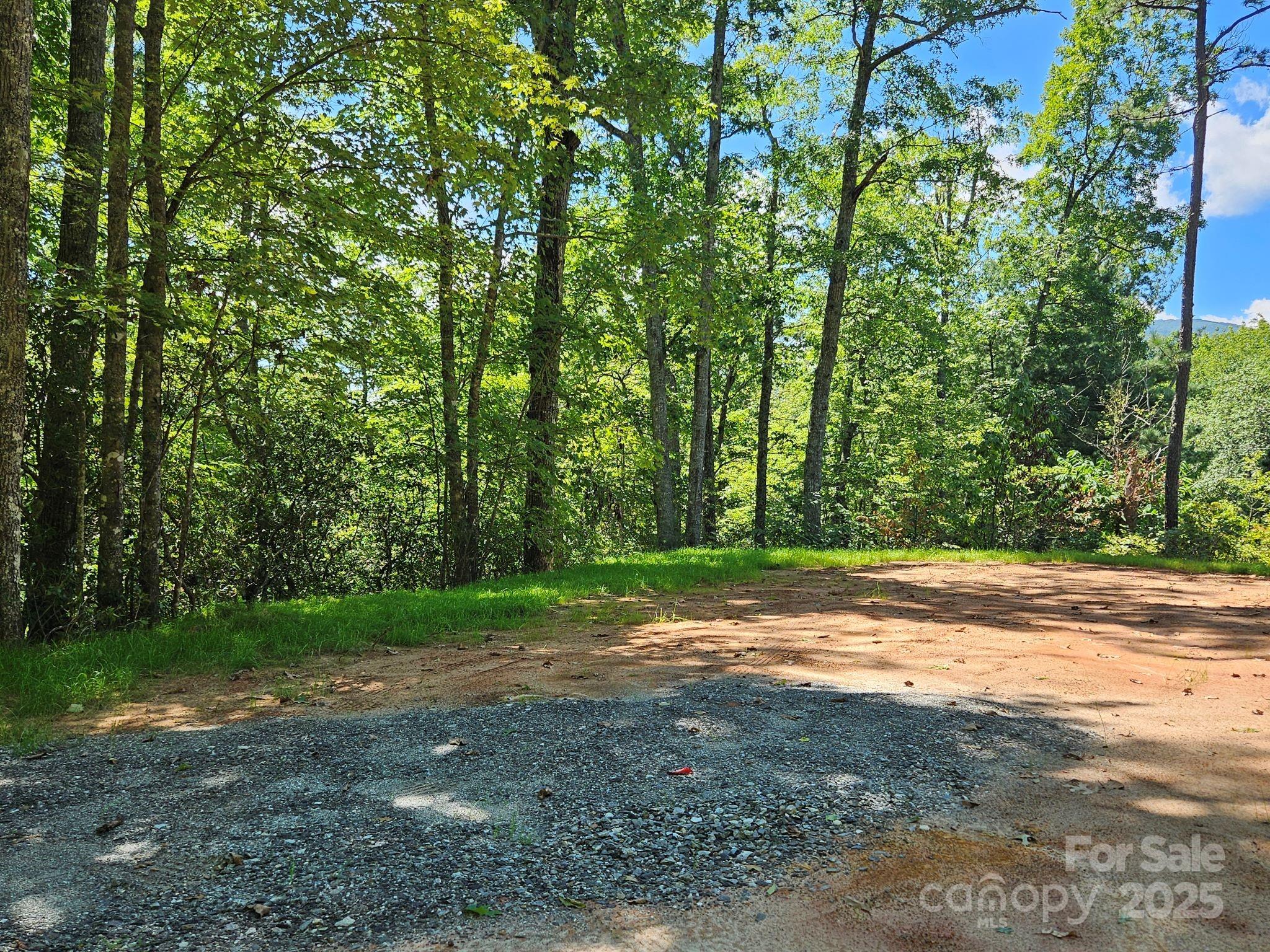 0 Blue Vista Road, Unit 1 Canton, NC 28716 - Photo 8 of 12 a view of a yard with plants and trees