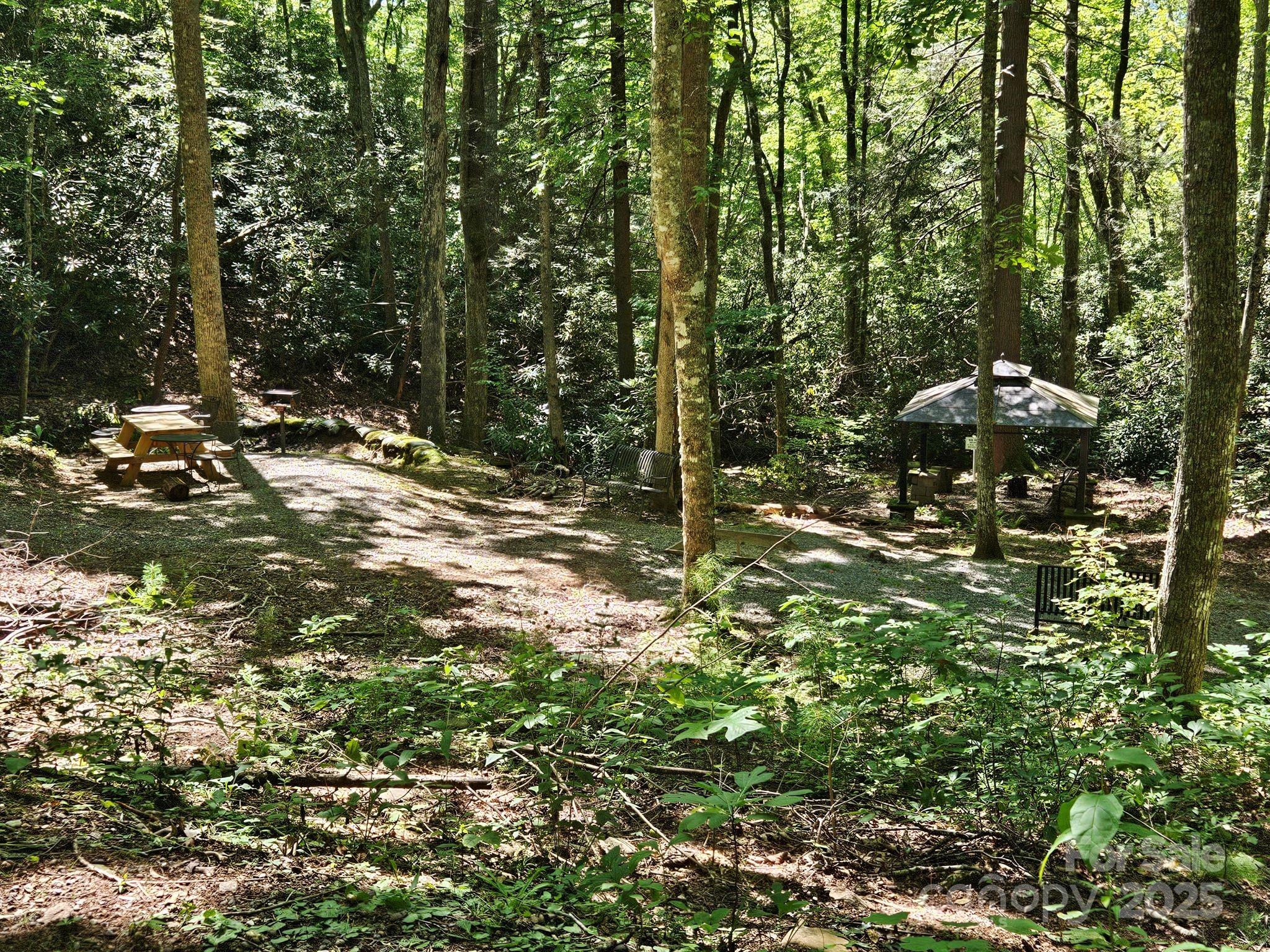 0 Blue Vista Road, Unit 1 Canton, NC 28716 - Photo 10 of 12 a view of a tree in a yard
