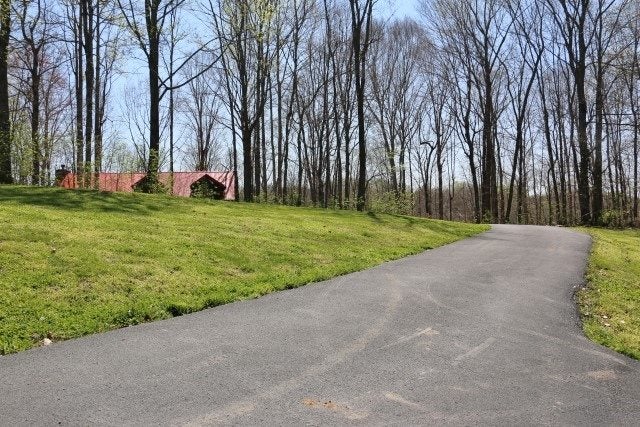 5677 Capitol Hill Road Fountain Run, KY 42133 - Photo 29 of 35 Gallery Image 29