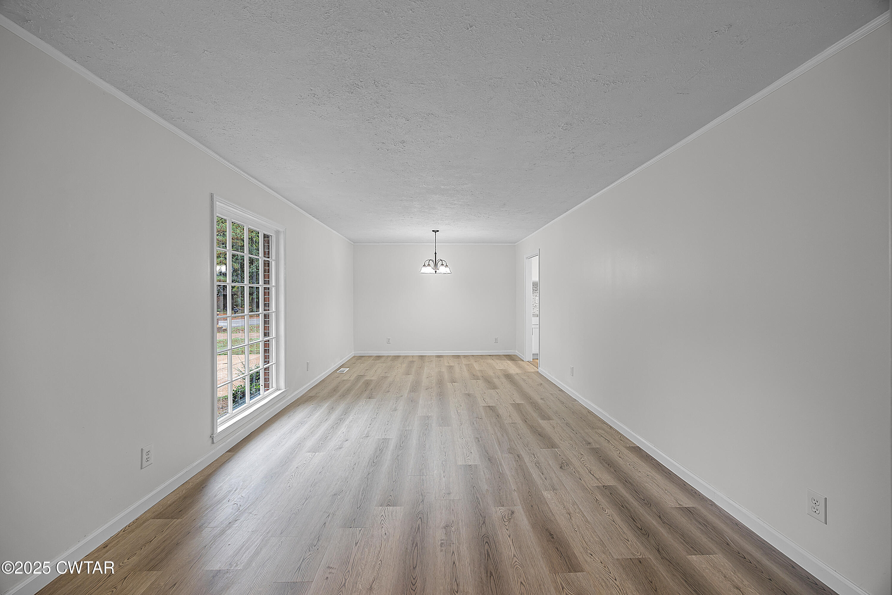 157 Commanche Trail Jackson, TN 38305 - Photo 11 of 17 DG2A8928