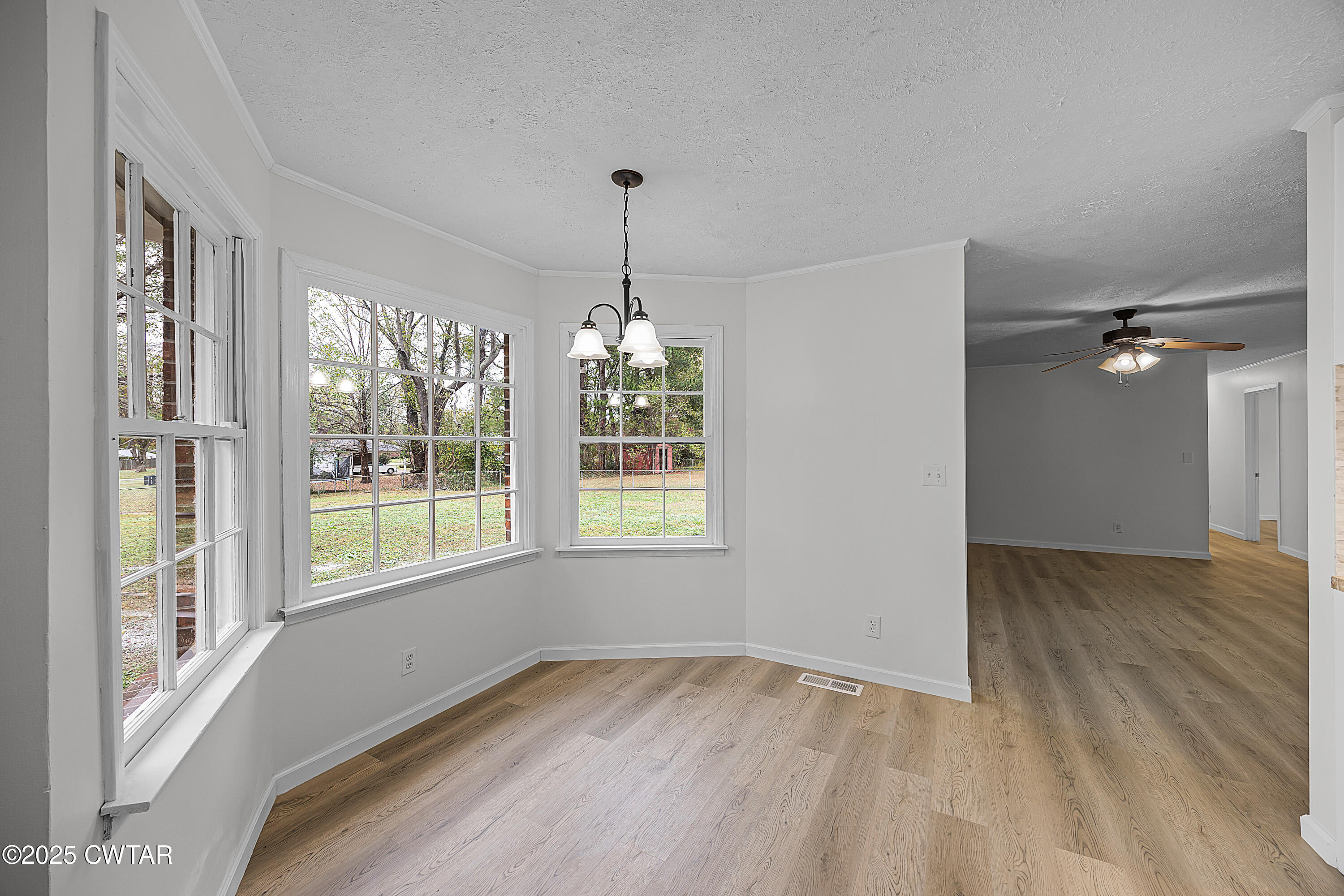 157 Commanche Trail Jackson, TN 38305 - Photo 5 of 17 DG2A8918