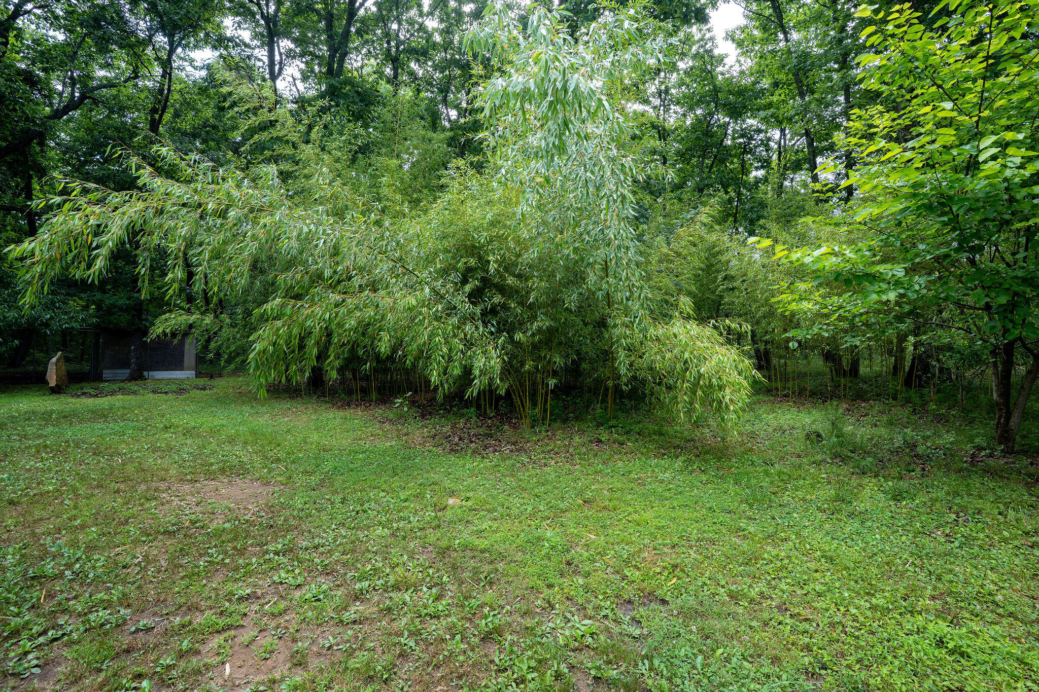 758 Old State Road Menlo, GA 30731 - Photo 53 of 69 A7304611-HDR