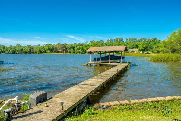 a big yard with trees
