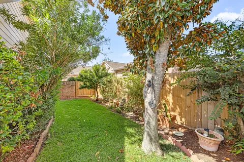 a view of a yard with plants and a fountain