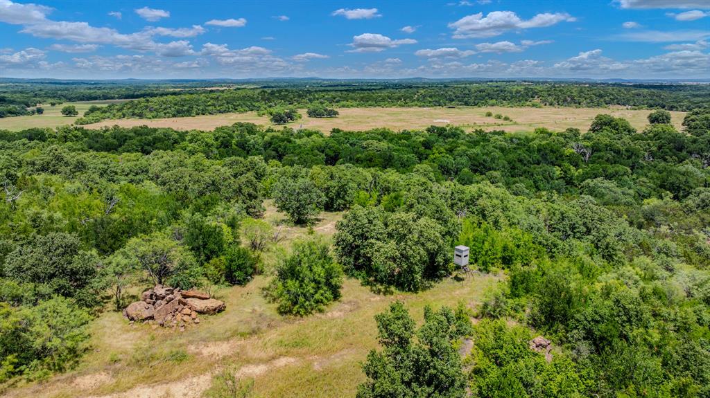 Tbd Cement Mountain Road Bryson, TX 76427 - Photo 29 of 40 a view of a lush green field with lots of trees in the background