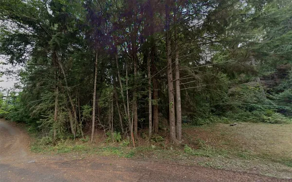$44,999 | 46 Mountain Trail Court, Brinnon, WA 98320