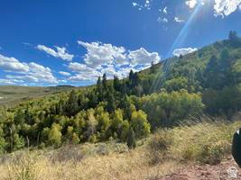 800 Homestead Road Road Cokeville, WY 83114 - Photo 27 of 49 Additional content