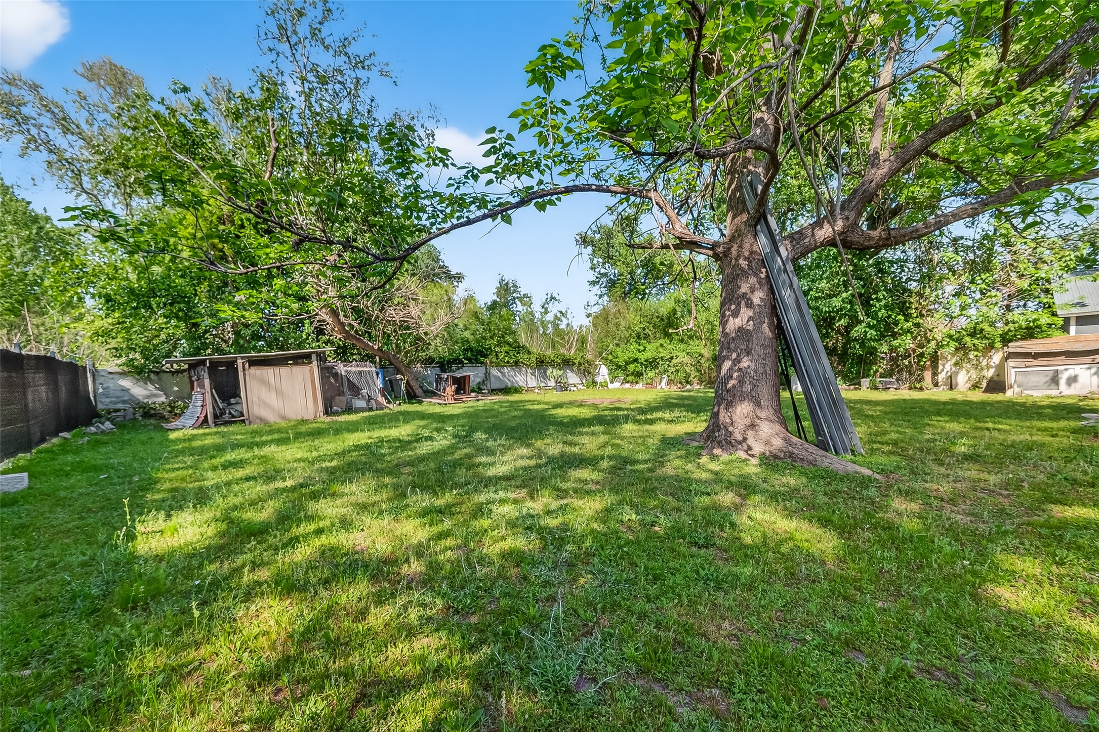 968 Garapan Street Houston, TX 77091 - Photo 35 of 40 a view of a garden with a tree