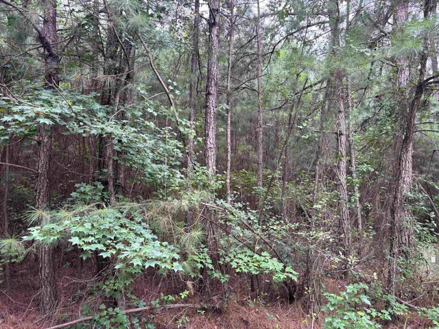 $12,000 | Lot 5 Mcgregor St Lake, Lake City, SC 29560