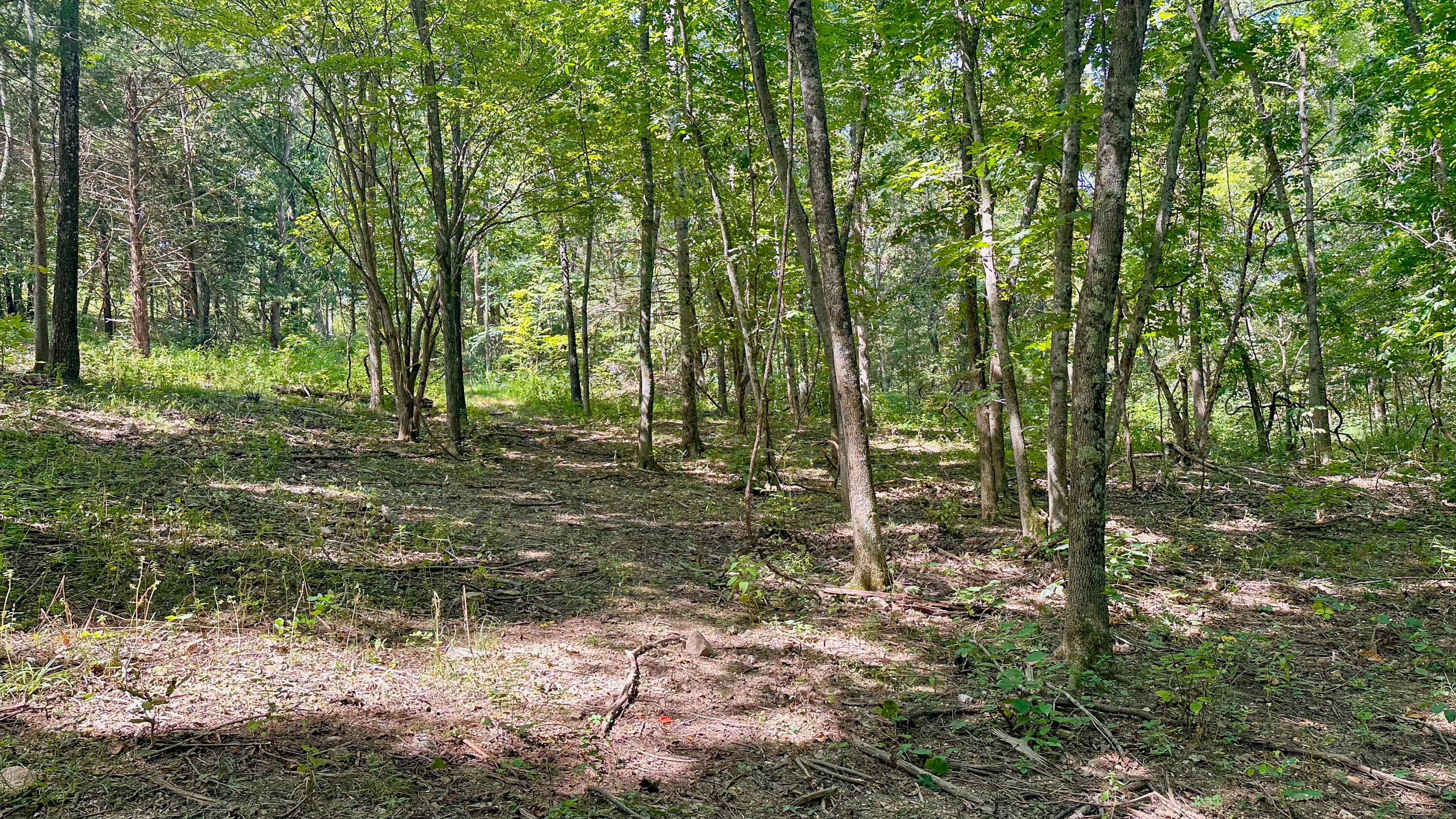 8380 St George Road Hartville, MO 65667 - Photo 28 of 43 St George Rd-28