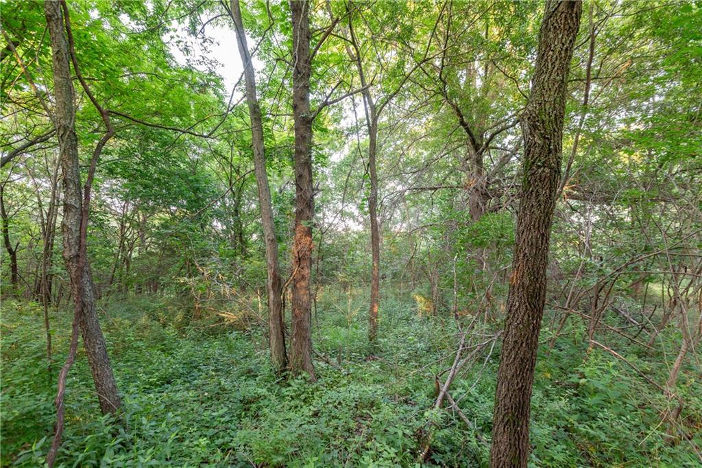 33200 East Hammond Road Lone Jack, MO 64070 - Photo 69 of 76