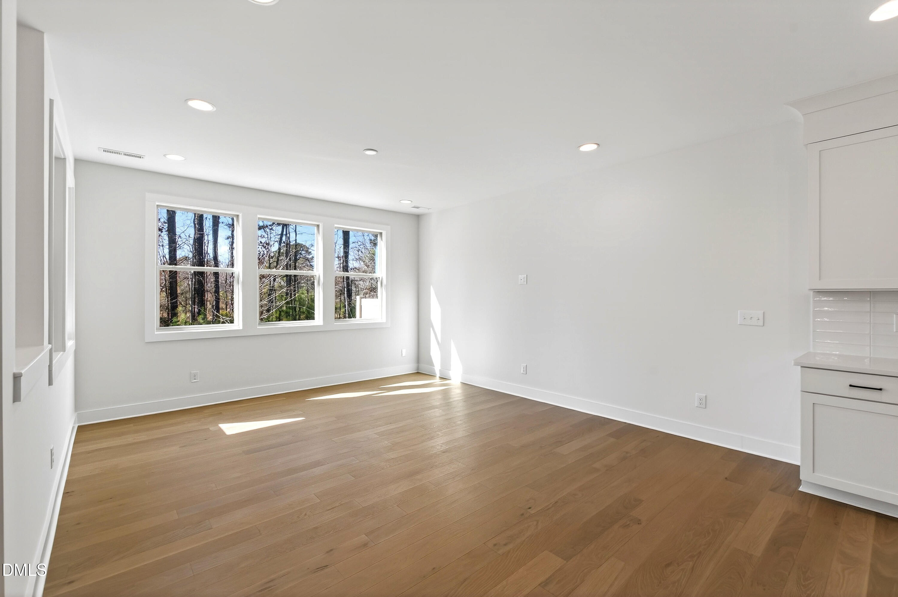 976 Double Helix Road Apex, NC 27523 - Photo 20 of 50 976 Helix (18)