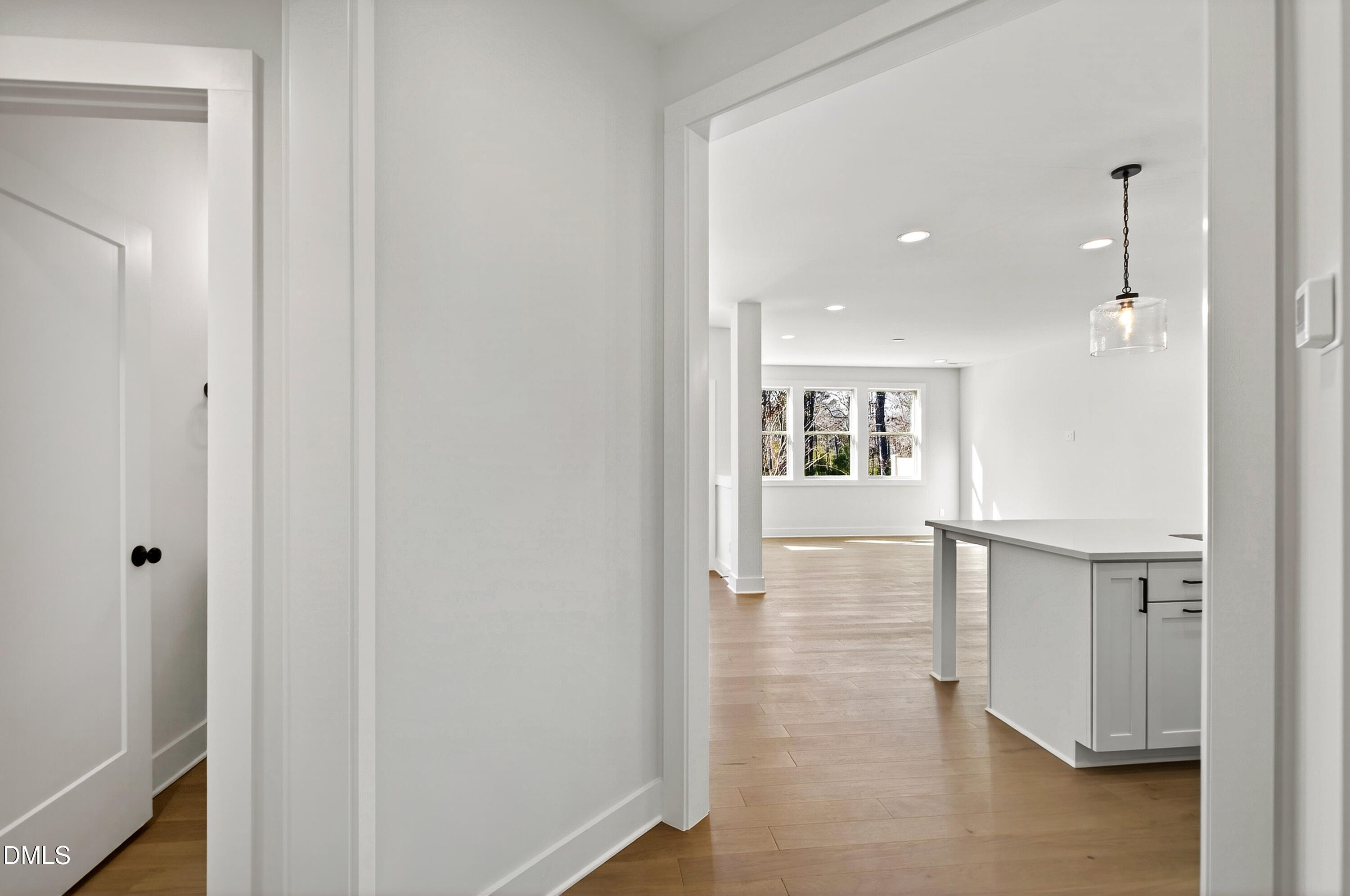 976 Double Helix Road Apex, NC 27523 - Photo 5 of 50 976 Helix (7)