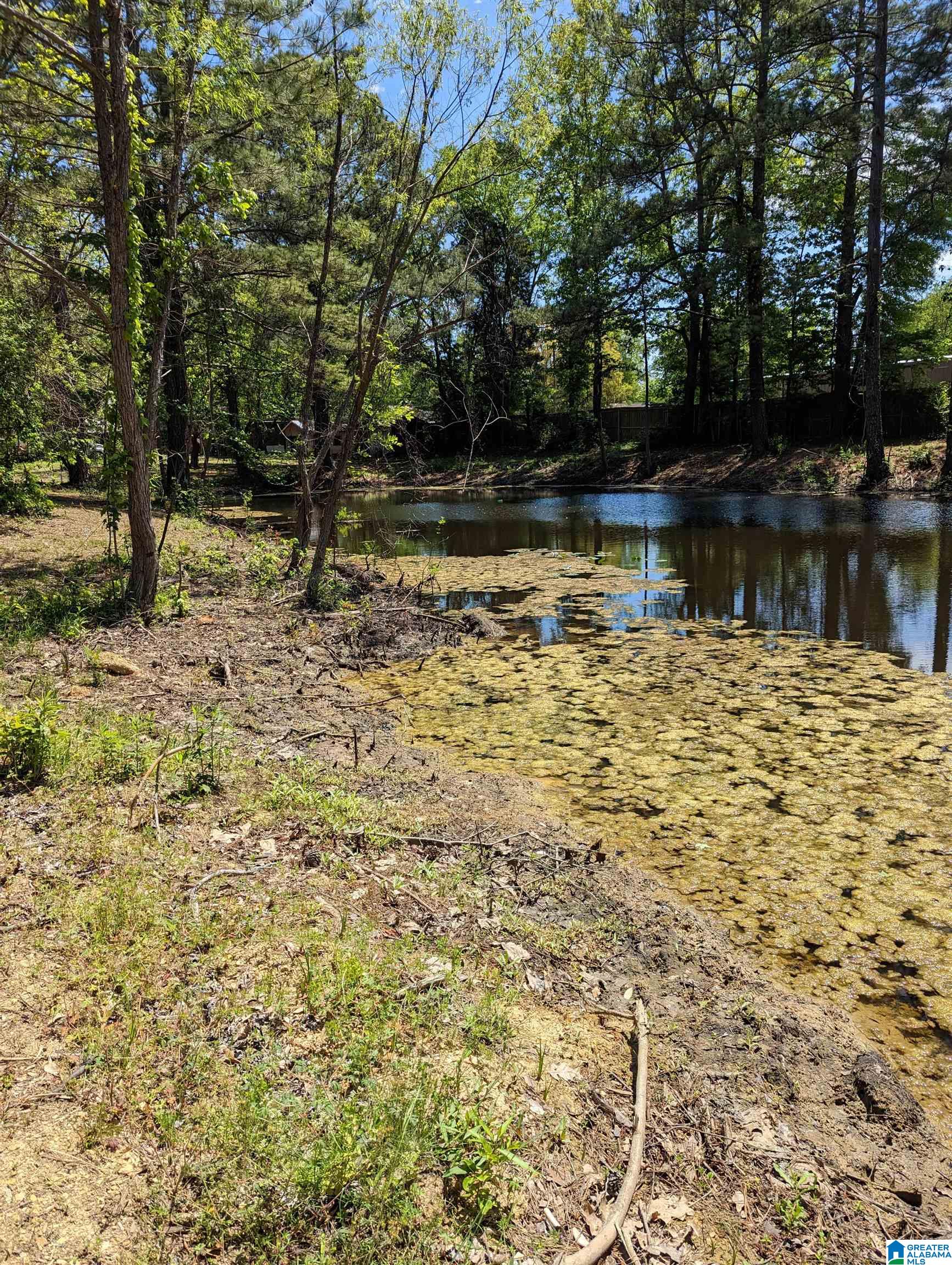 4018 Greenwood Road Bessemer, AL 35022 - Photo 38 of 39