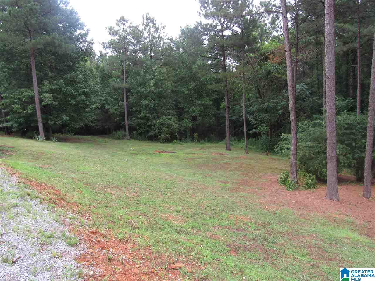 495 Kimberly Road Piedmont, AL 36272 - Photo 39 of 49
