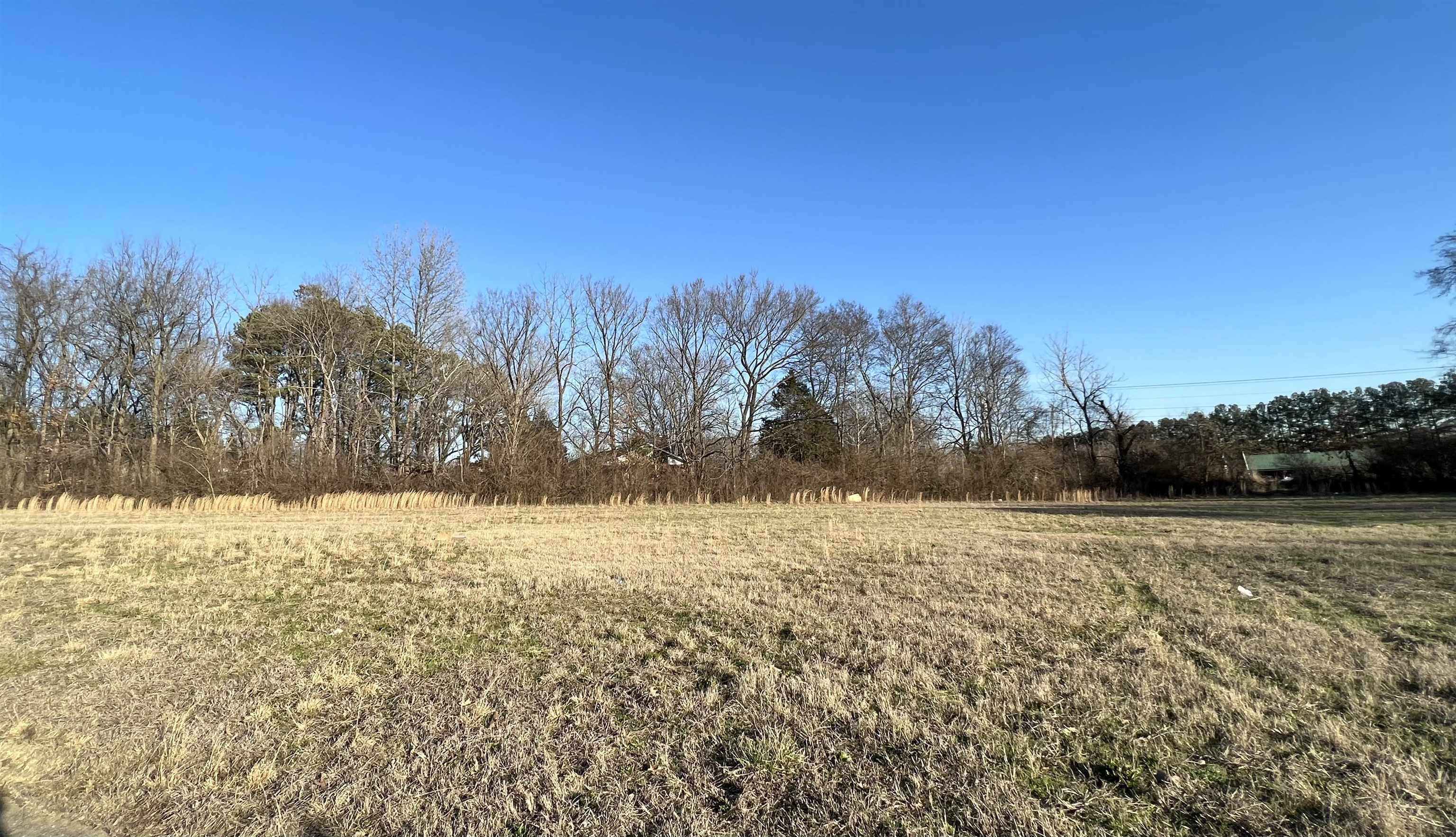 51-52 York Commons Street Ripley, TN 38063 - Photo 5 of 5 a view of empty space with mountain in the background