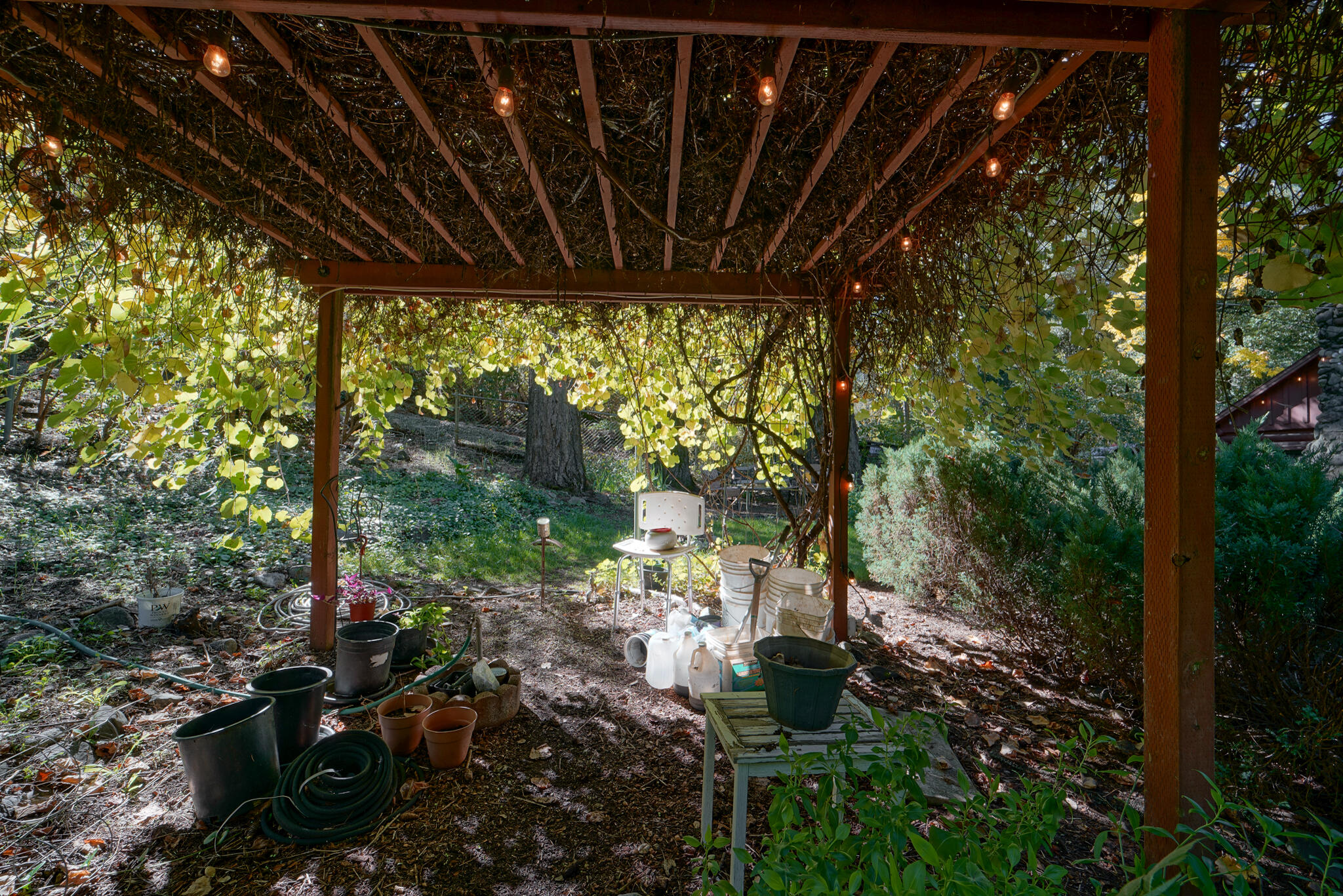 420 Price Creek Road Big Bar, CA 96010 - Photo 57 of 63 wisteria covered gazibo