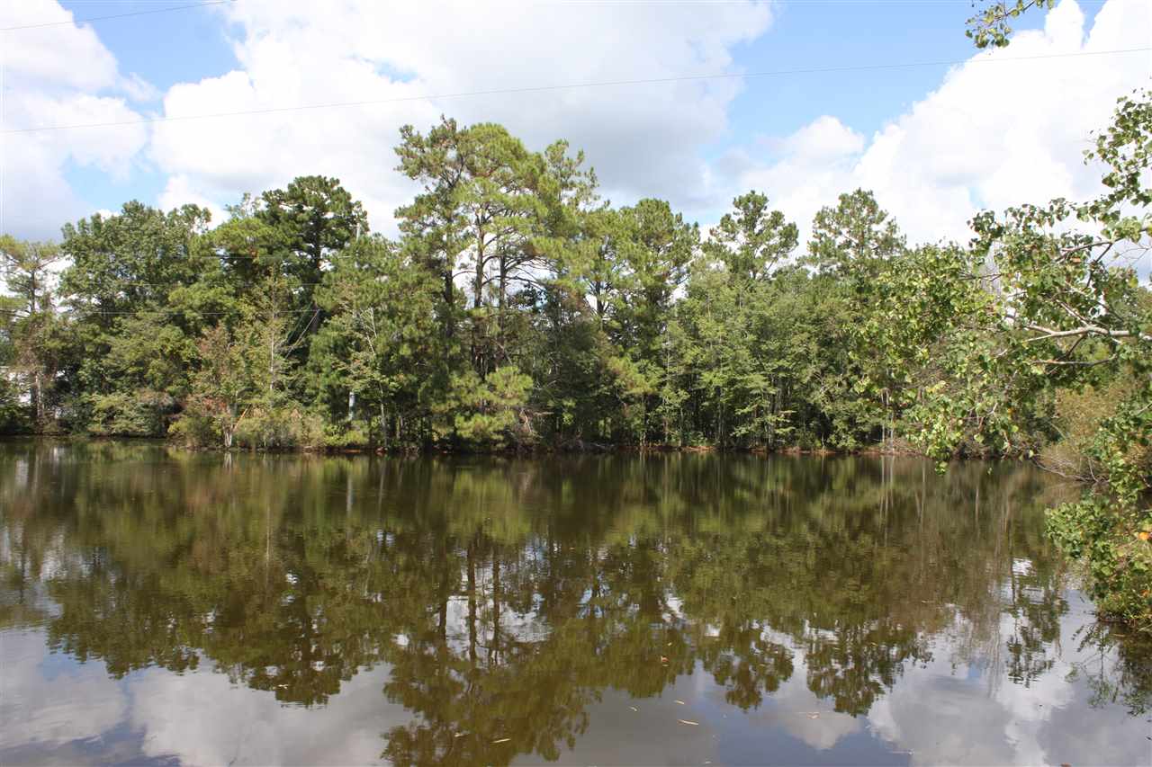 401 Morris Road Monticello, FL 32344 - Photo 8 of 36 Gallery Image 8