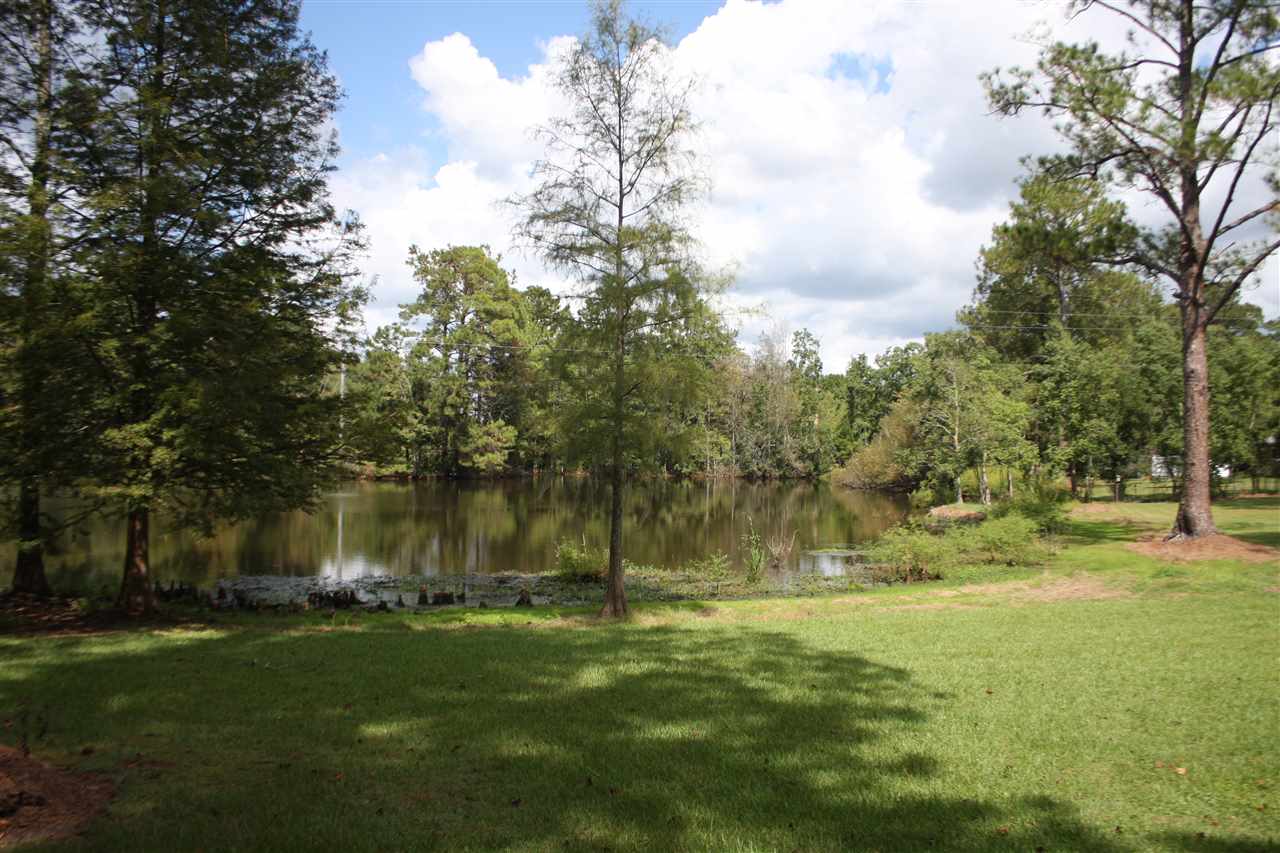 401 Morris Road Monticello, FL 32344 - Photo 9 of 36 Gallery Image 9