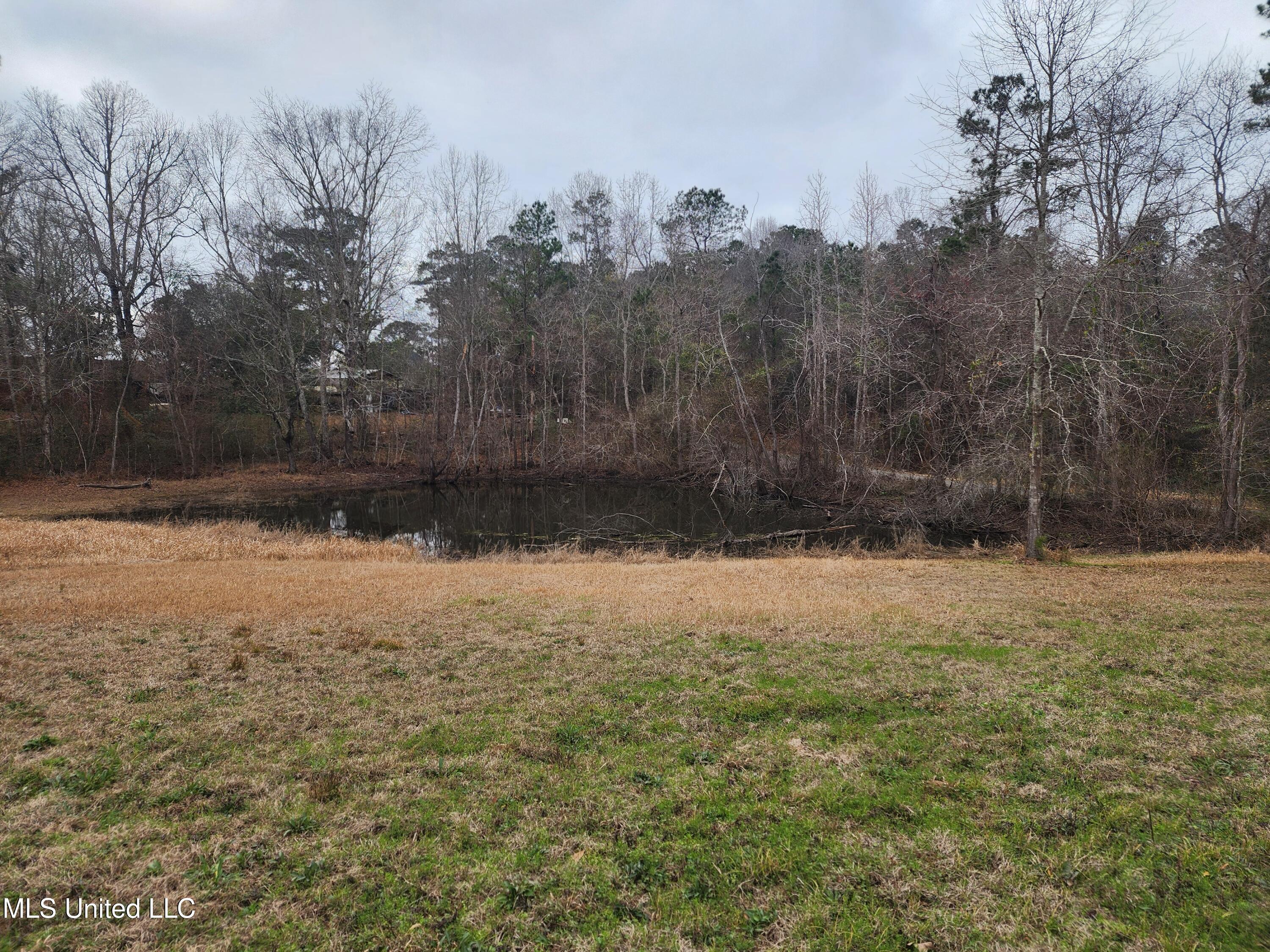 26 Charlie Daughdrill Road Carriere, MS 39426 - Photo 2 of 25 20260216_145307