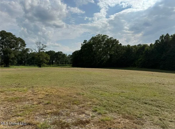 $440,000 | 26 Charlie Daughdrill Road, Carriere, MS 39426