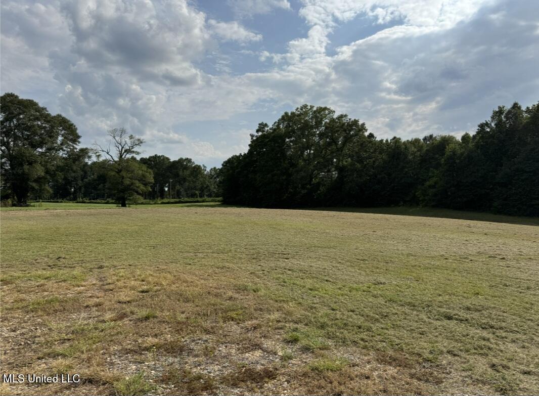 26 Charlie Daughdrill Road Carriere, MS 39426 - Photo 23 of 25 Screenshot_20260216_193602_Samsung Inter